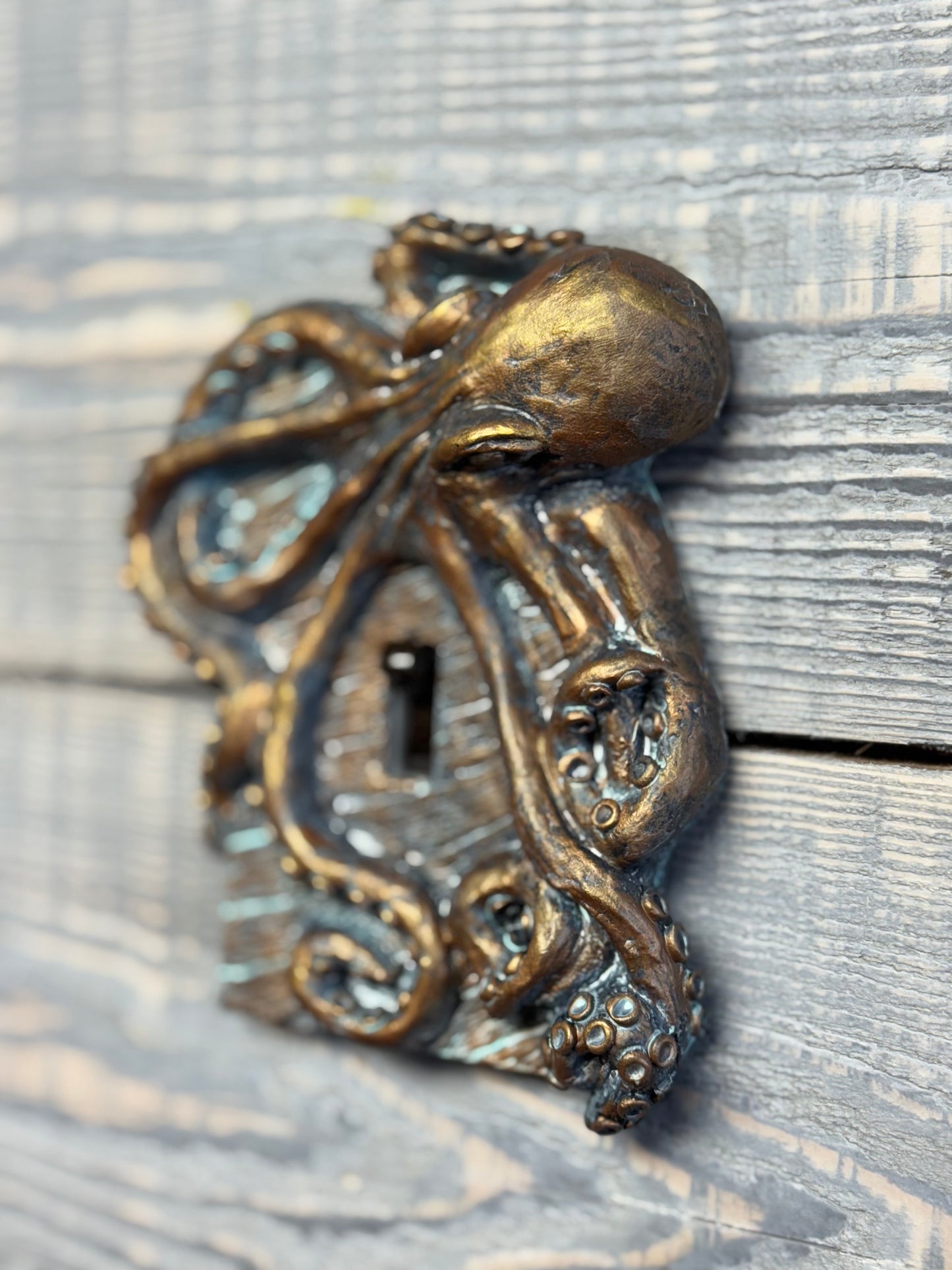 Octopus Toggle Switch Plate